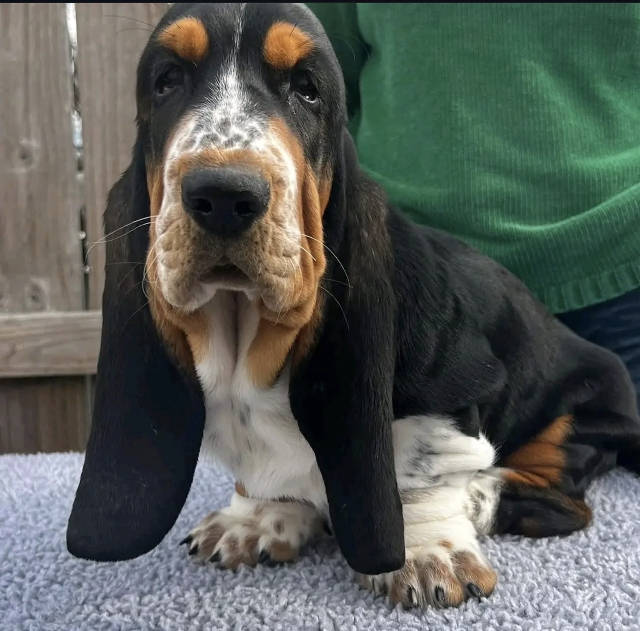Benny
